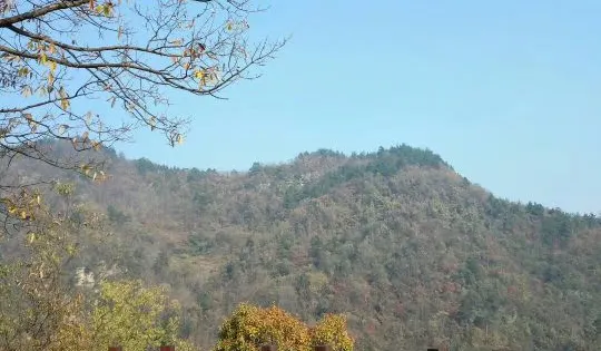 寶堂寺