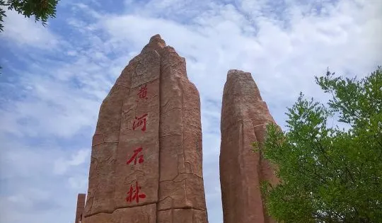 黃河石林博物館