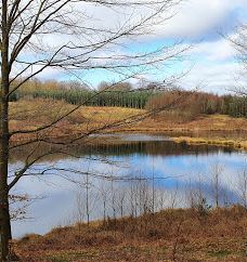 Svanninge Bakker-福堡