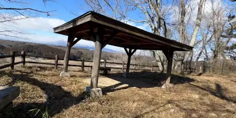 蘆野御殿山（桜）