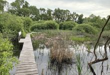Náučná lokalita "POHOLA IŽKOVCE"景点图片