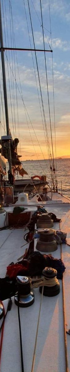 豪拉基湾-奥克兰