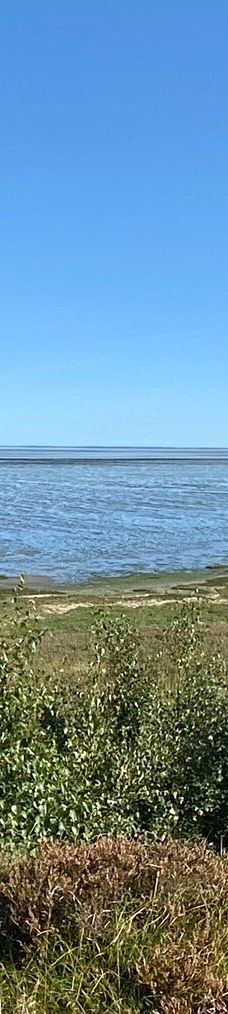 Morsum-Kliff-摩尔苏姆