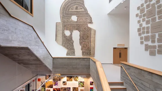 多塞特郡博物館