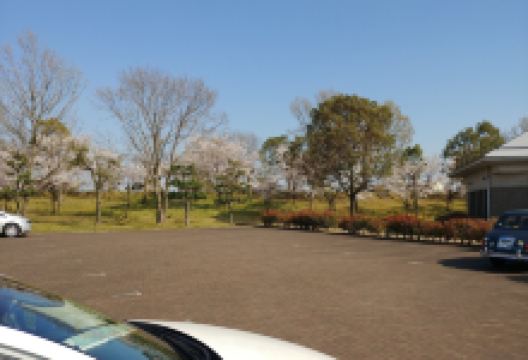 広渡廃寺迹歴史公园景点图片
