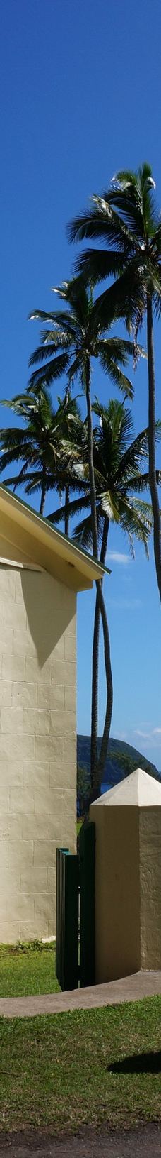 卡劳帕帕国家历史公园-卡拉瓦奥县