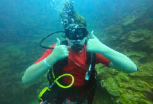 Action Adventure Divers购物图片