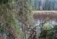 Ligatnes Nature Trails景点图片