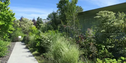 輕井澤千住博美術館