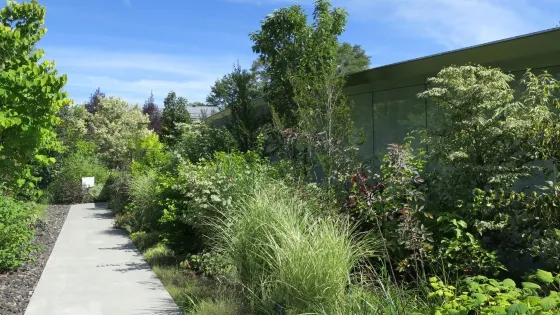 輕井澤千住博美術館