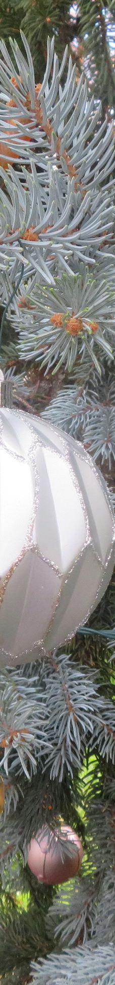 Healdsburg Plaza-希尔兹堡