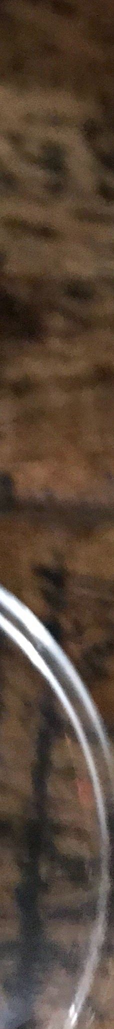 Siddha Pokhari-巴克塔普尔