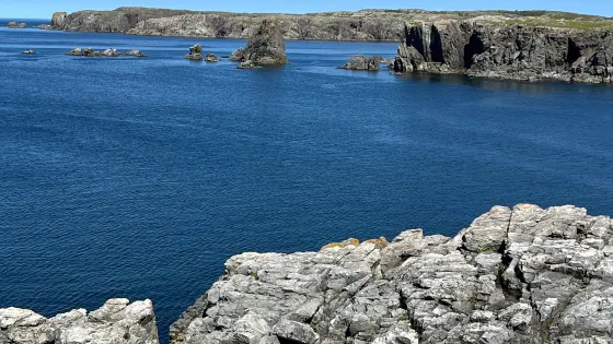 Dungeon Provincial Park