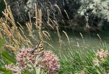 Rock Creek Park景点图片