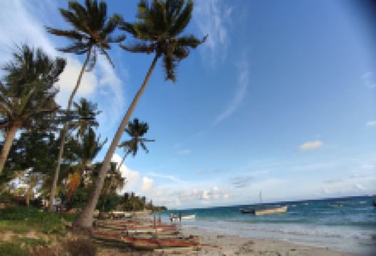 Dive Time Zanzibar景点图片