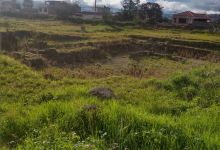 Ruinas del Inka Huasi景点图片