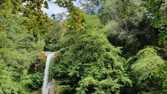 Gorg de Santa Margarida