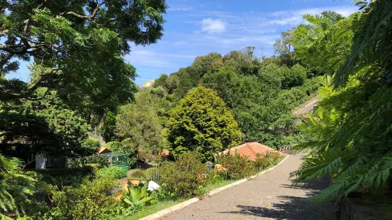 Reserva Florestal de Recreio Luis Paulo Camacho