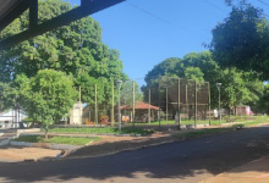 Praça do Cedro景点图片