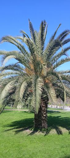 Concordia Park-洛格罗尼奥