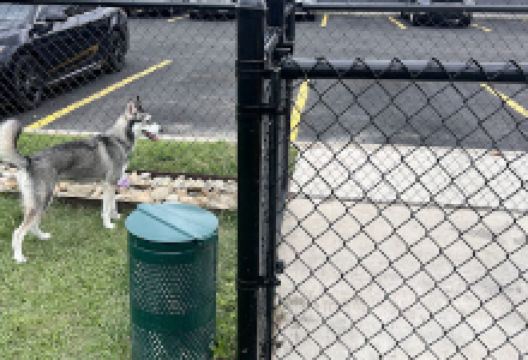 Dog Park at Love's Travel Stops景点图片