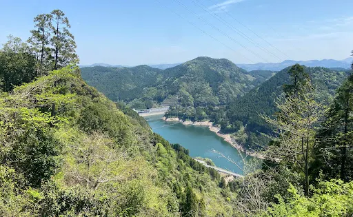 大山しゃくなげ園
