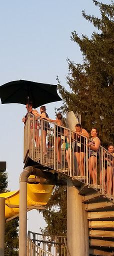 Swanson Park-奥尔巴尼