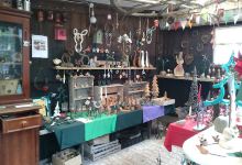 Brownthwaite Hardy Plants购物图片