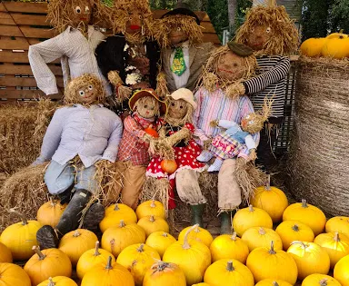 Ballycross Apple Farm