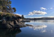 Madrona Scuba Diving Site景点图片