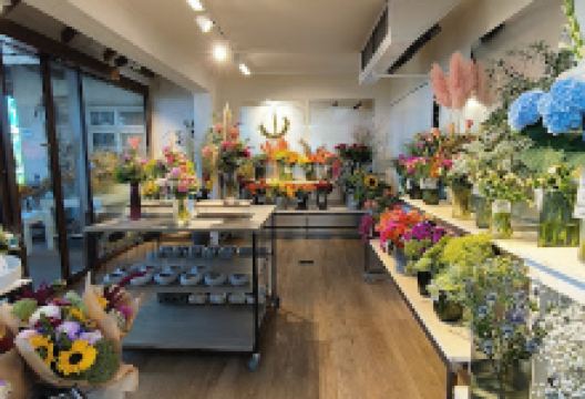 Gärtnerei Jäger "grüner leben"购物图片