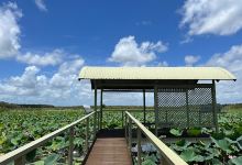 Black Jungle / Lambells Lagoon Conservation Reserve景点图片