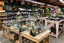 Edelkamp Garden Center GmbH购物图片