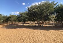 Nakawa Community Campsite景点图片
