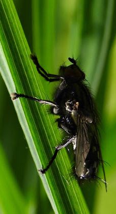 Park Cygański Las w Bielsku-Białej-别尔斯克 比亚瓦