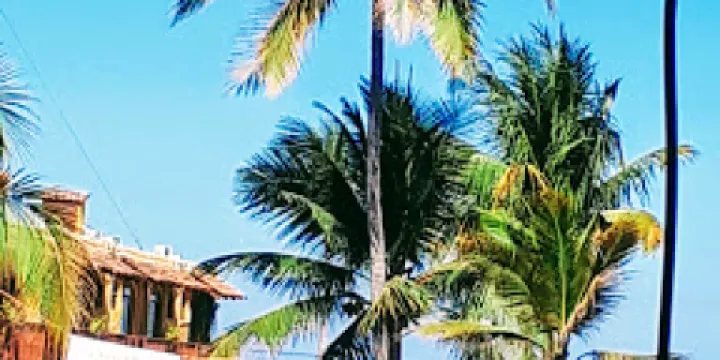 Rincon de Guayabitos