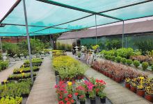 vivero21购物图片