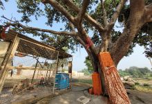 Shri Narsingh Mandir Narsingh tirth dham景点图片
