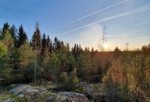 Mehtola Lean-to Shelter景点图片