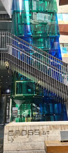 卡朗加黑皮路-奥克兰