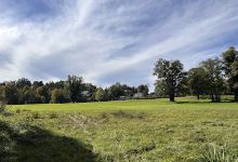 Staatl. Seeverwaltung Starnberg Staatl. Parkaufsicht Feldafing景点图片