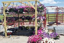 Crittenden Farm Lawn & Garden购物图片