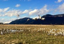 Blanchard Mountain Farm景点图片