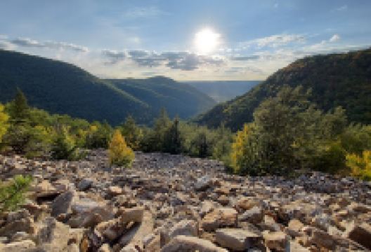 Thousand Steps - Standing Stone Trail景点图片