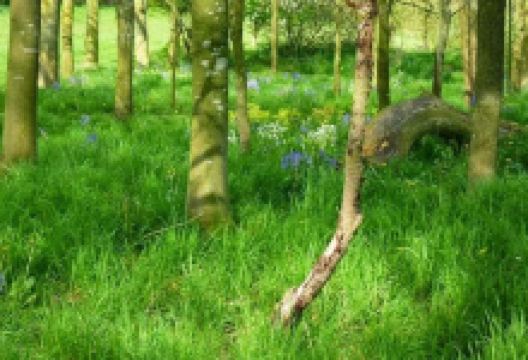 Park Grange Holidays景点图片