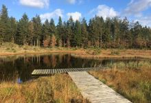 Gyttegård Plantage景点图片