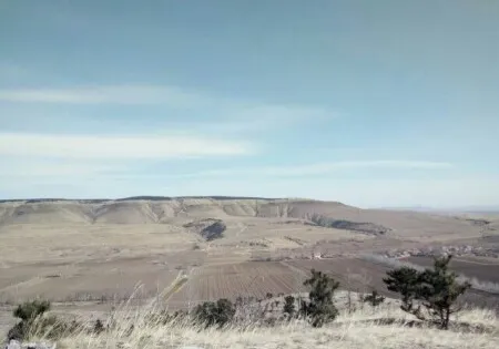 塔子山