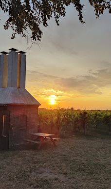 Vingaarden, Lille Gadegaard ( Vineyard )-阿克尔科拜