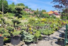 Gardenium. Centrum Ogrodnicze购物图片