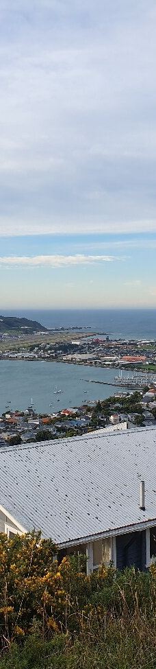 维多利亚山-惠灵顿